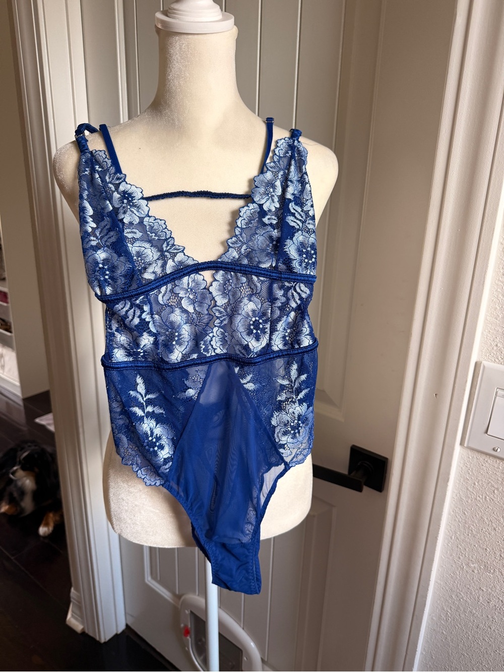 Adore Me Royal Blue Lace Sheer Bodysuit